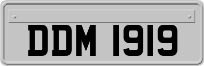 DDM1919