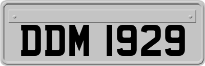 DDM1929