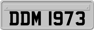 DDM1973