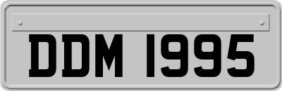 DDM1995