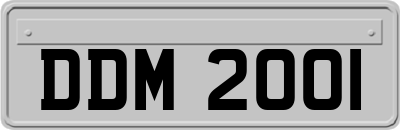 DDM2001