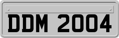 DDM2004