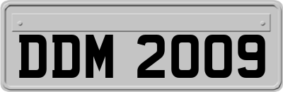 DDM2009