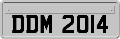 DDM2014