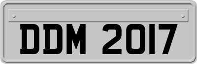 DDM2017