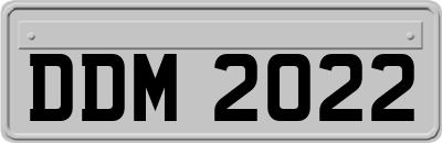 DDM2022