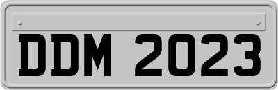 DDM2023