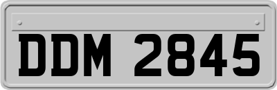 DDM2845