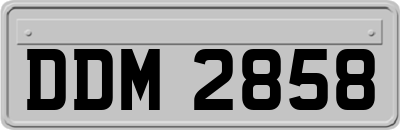 DDM2858
