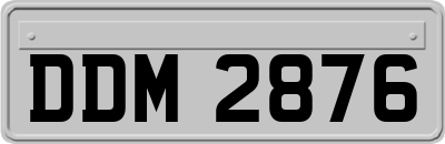 DDM2876