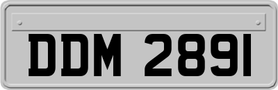 DDM2891