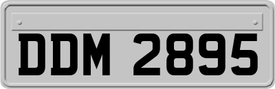 DDM2895