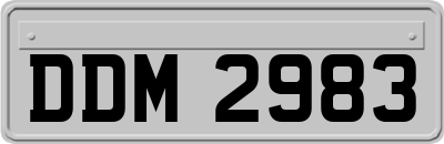 DDM2983