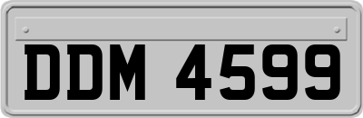 DDM4599