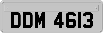 DDM4613