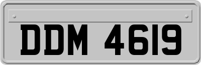 DDM4619