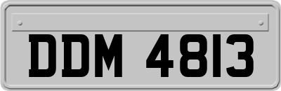 DDM4813