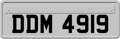 DDM4919