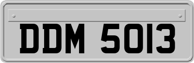 DDM5013