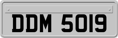 DDM5019