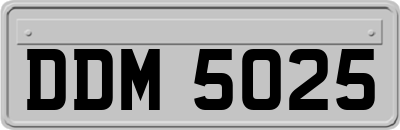DDM5025