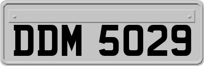 DDM5029