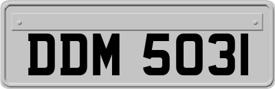 DDM5031