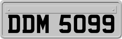 DDM5099