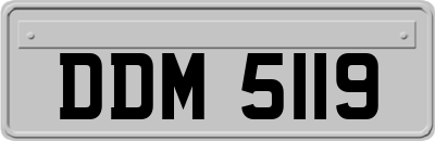 DDM5119