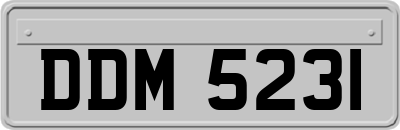 DDM5231