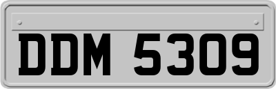 DDM5309