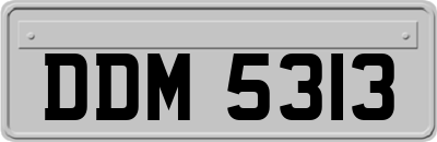 DDM5313