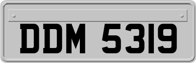 DDM5319
