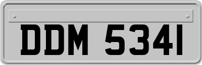DDM5341