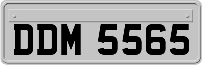 DDM5565