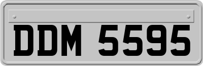 DDM5595