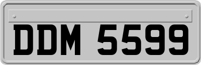 DDM5599