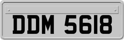 DDM5618
