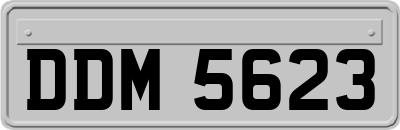 DDM5623