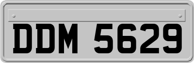 DDM5629