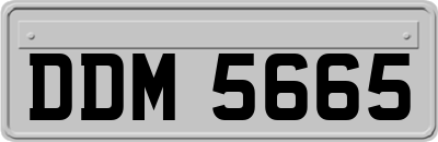DDM5665