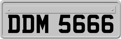 DDM5666