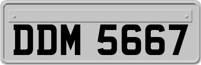 DDM5667