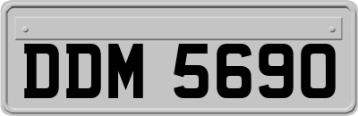 DDM5690