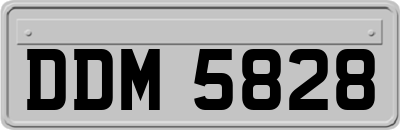 DDM5828