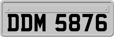 DDM5876