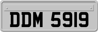 DDM5919