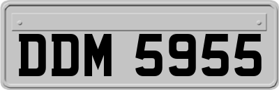 DDM5955
