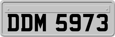 DDM5973