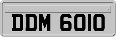 DDM6010